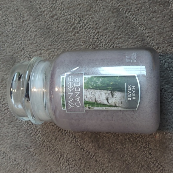 Yankee Candle Other - Yankee Candle - Silver Birch